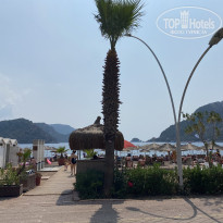 фото из отзыва ID 2716346