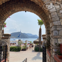 фото из отзыва ID 2716346