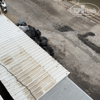 фото из отзыва ID 2716362