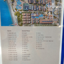 фото из отзыва ID 2716364