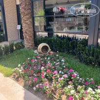 фото из отзыва ID 2716364