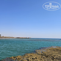 фото из отзыва ID 2716384