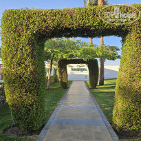 фото из отзыва ID 2716384