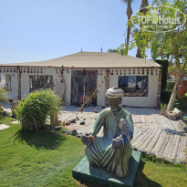 фото из отзыва ID 2716384