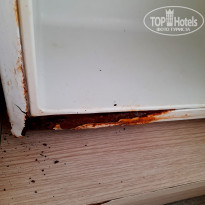 фото из отзыва ID 2716420