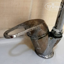 фото из отзыва ID 2716420