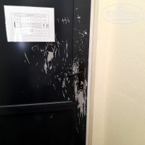 фото из отзыва ID 2716420