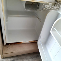 фото из отзыва ID 2716420