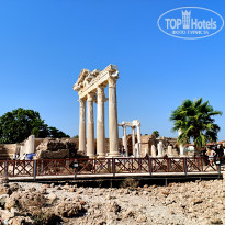 фото из отзыва ID 2716446