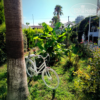 фото из отзыва ID 2716446