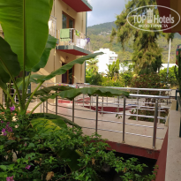 фото из отзыва ID 2716452