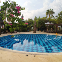 фото из отзыва ID 2716452