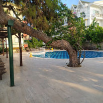 фото из отзыва ID 2716452