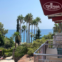 фото из отзыва ID 2716452