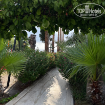 фото из отзыва ID 2716452