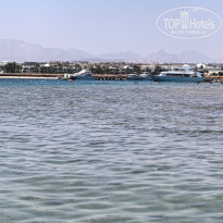 фото из отзыва ID 2716372