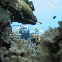 фото из отзыва ID 2716477