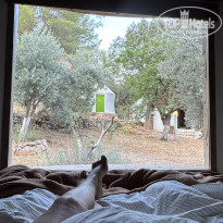 фото из отзыва ID 2716489