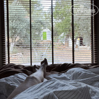 фото из отзыва ID 2716489