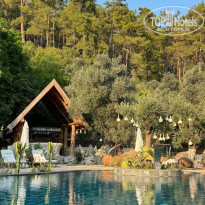 фото из отзыва ID 2716489