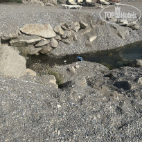 фото из отзыва ID 2716516