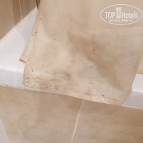 фото из отзыва ID 2716527