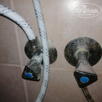 фото из отзыва ID 2716527