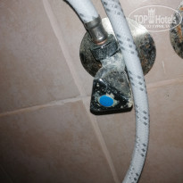 фото из отзыва ID 2716527