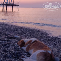 фото из отзыва ID 2716543