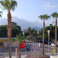 фото из отзыва ID 2716543