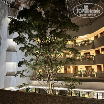 фото из отзыва ID 2716563