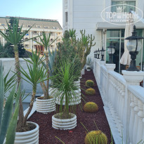 фото из отзыва ID 2716592