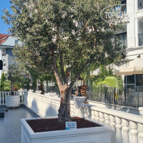 фото из отзыва ID 2716592