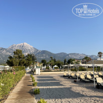 фото из отзыва ID 2716606