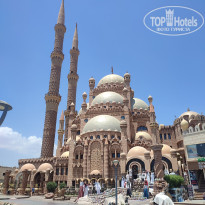 фото из отзыва ID 2716650