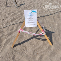 фото из отзыва ID 2716652