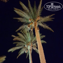 фото из отзыва ID 2716630