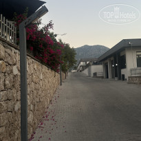 фото из отзыва ID 2716655