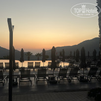 фото из отзыва ID 2716655