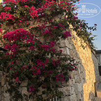 фото из отзыва ID 2716655