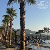 фото из отзыва ID 2716655