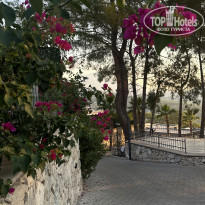 фото из отзыва ID 2716655