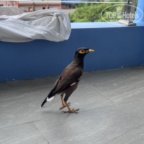 фото из отзыва ID 2716658