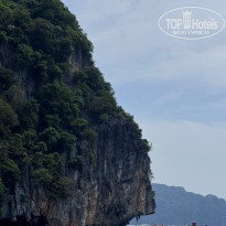 фото из отзыва ID 2716658