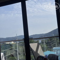 фото из отзыва ID 2716658