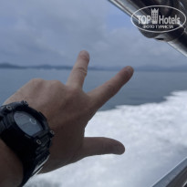 фото из отзыва ID 2716658