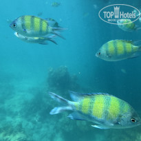 фото из отзыва ID 2716658