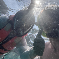 фото из отзыва ID 2716658