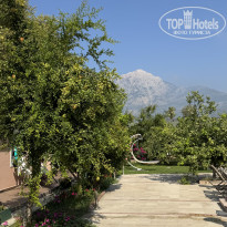 фото из отзыва ID 2716663