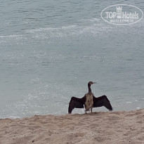 фото из отзыва ID 2716651